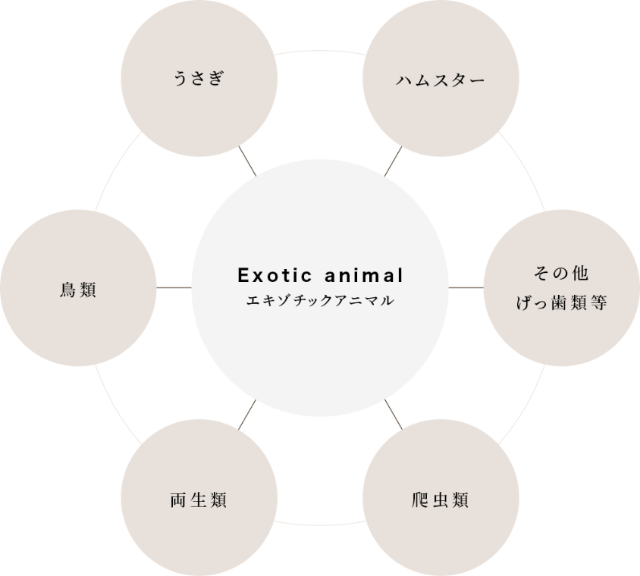 Exotic animal エキゾチックアニマル